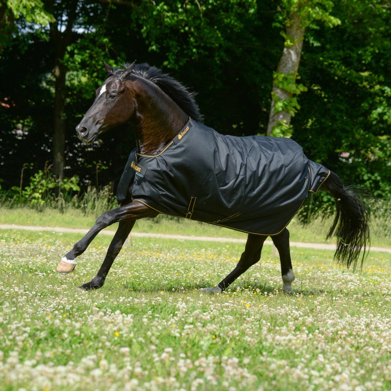 Bucas Irish Turnout Medium 2 Bucas Irish Turnout Medium - Image 2