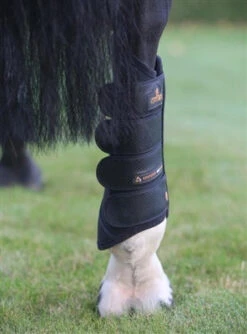 Kentucky Air Tech Eventing Boots Hind -Best Saddle Shop KTATH 4