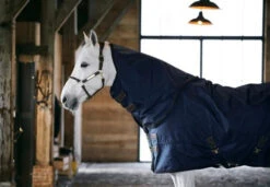 Kentucky Turnout Neck (150 Gram) -Best Saddle Shop KTN150 4