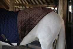 Kentucky Walker Rug 10 Kentucky Walker Rug -Best Saddle Shop KWR 5
