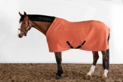 ANATOMEQ - FIT BLANKET -Best Saddle Shop M4A9179 Edit 1024x1024 2x fd78977c 44ff 4eb7 9b05 ded10f15b3fb