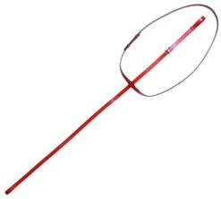 Vespucci Fancy Raised Standing Martingale