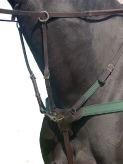 Amerigo 5-Point Breastplate