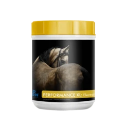 Mad Barn Performance XL Electrolytes