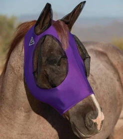 Professional's Choice Comfort Fit Lycra Fly Mask 18 Professional's Choice Comfort Fit Lycra Fly Mask -Best Saddle Shop Professional sChoiceComfortFitFlyMask Purple grande b84dde4e 59d6 4be4 ba52 9f85cb10ae89