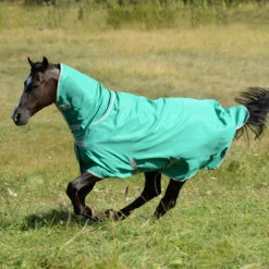 Best Saddle Shop -Best Saddle Shop SMALLLAGOON 01