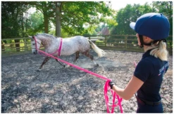 Shires Lunging Surcingle