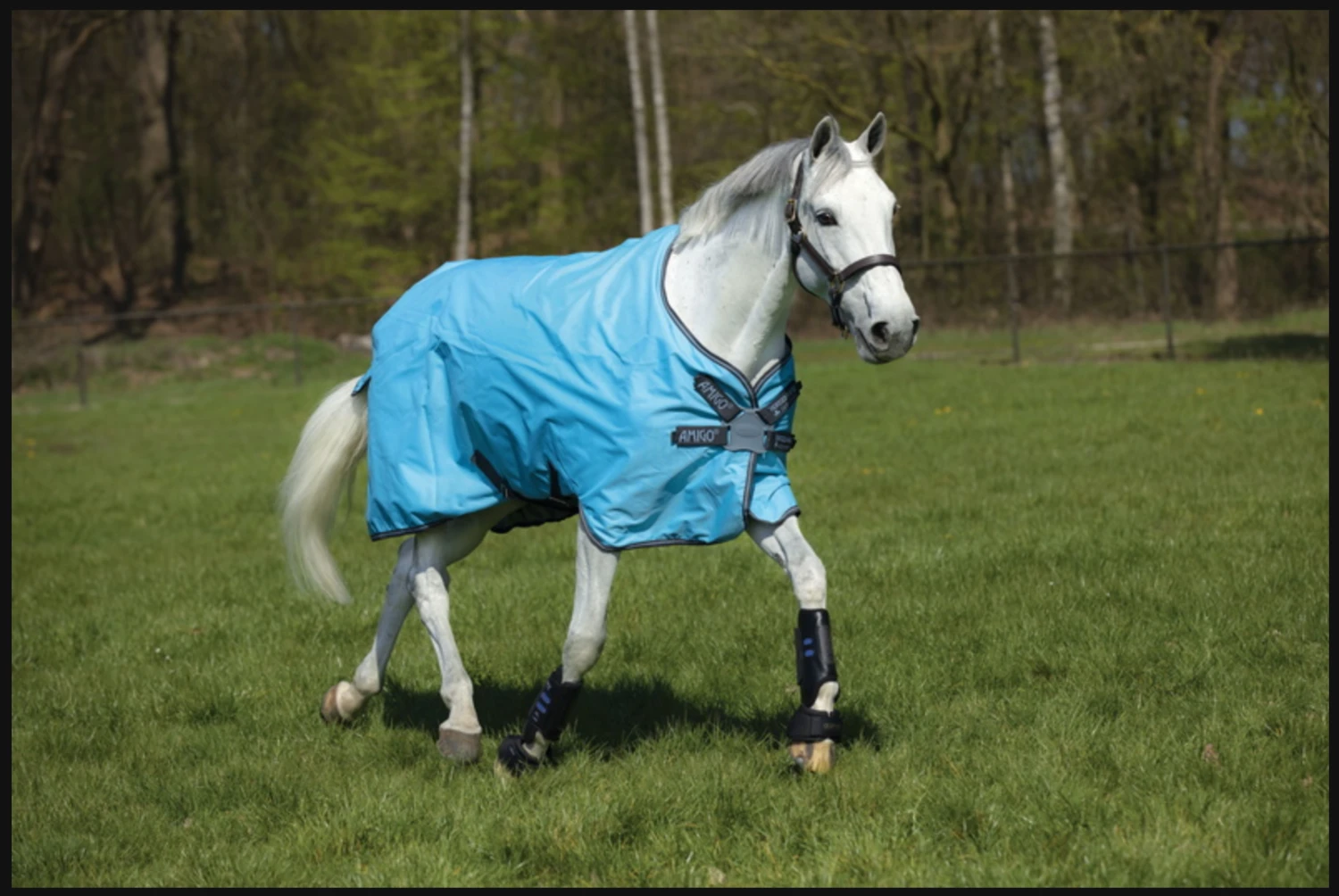 Horseware Ireland Amigo Hero 900 Turnout Lite With Net Lining And Disc-Front Closure