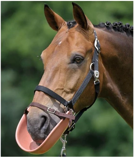 Waldhausen Clothing Bib 1 Waldhausen Clothing Bib