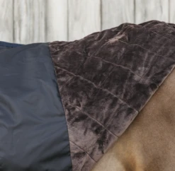 Best Saddle Shop -Best Saddle Shop ScreenShot2021 10 06at4.13.31PM