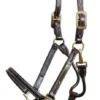 Walsh Showman Halter