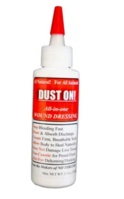 Dust On