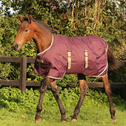 Horseware Ireland Amigo Foal Rug – 200G 1 Horseware Ireland Amigo Foal Rug – 200G