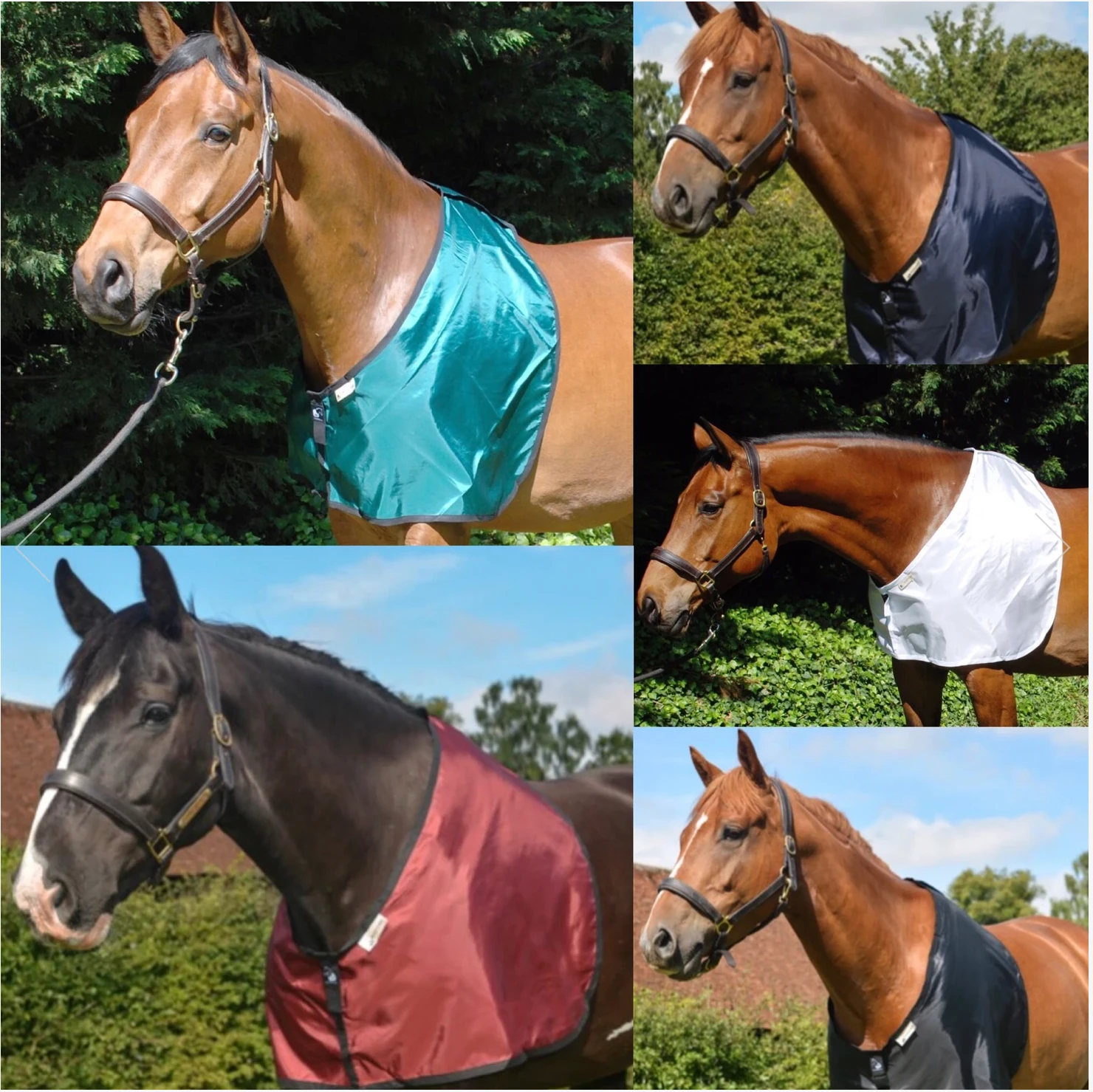 Bossy's Bibs 2 Bossy's Bibs - Image 2