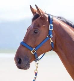 SHIRES - TOPAZ NYLON HALTER