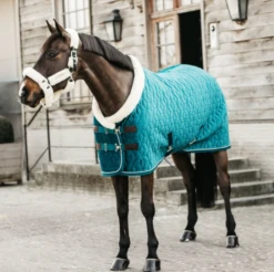 KENTUCKY HORSEWARE - SHOW RUG VELVET 160G 17 KENTUCKY HORSEWARE - SHOW RUG VELVET 160G -Best Saddle Shop ScreenShot2022 02 17at3.00.43PM