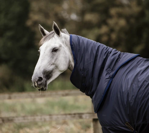 NECK ALL WEATHER HURRICANE 150G