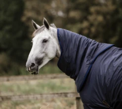 KENTUCKY HURRICANE ALL WEATHER NECK 0G