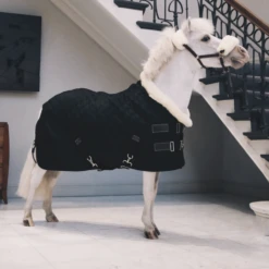 KENTUCKY TINY SHOW RUG 160G