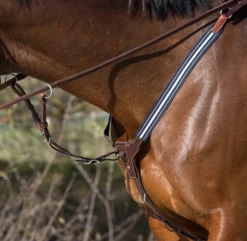 Antares Elastic Breastplate