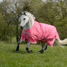 Best Saddle Shop -Best Saddle Shop Unknown 763bd32f bac4 47a6 b74a 0cc9ed7e9ed4