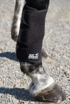 Ice Horse Tendon Wrap