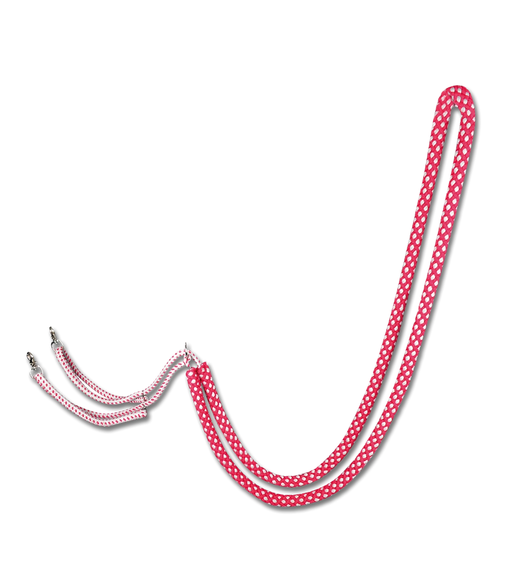 Waldhausen Lunging Aid 3 Waldhausen Lunging Aid - Image 3