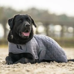 BACK ON TRACK HAZE COLLECTION DOG RUG 9 BACK ON TRACK HAZE COLLECTION DOG RUG -Best Saddle Shop Web Dog haze 2 600x600 1