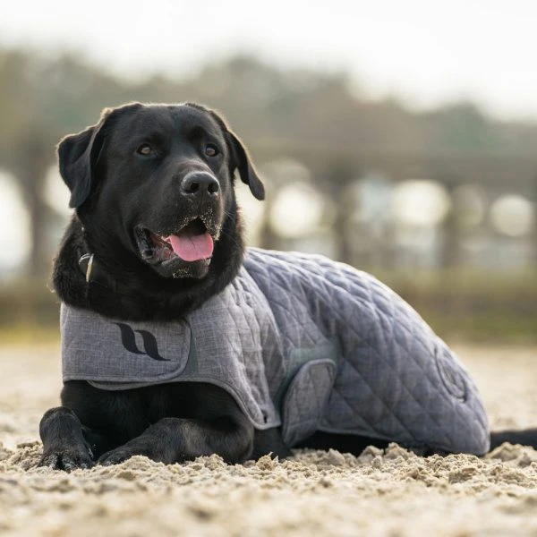 BACK ON TRACK HAZE COLLECTION DOG RUG 5 BACK ON TRACK HAZE COLLECTION DOG RUG - Image 5