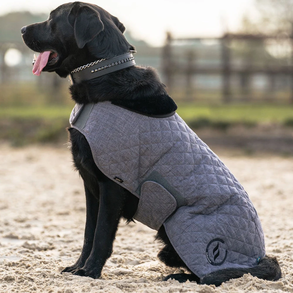 BACK ON TRACK HAZE COLLECTION DOG RUG 1 BACK ON TRACK HAZE COLLECTION DOG RUG