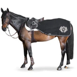 BACK ON TRACK - William Wool Exercise Rug -Best Saddle Shop William Exercise 1000 by 1000