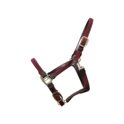 Kentucky Plaited Nylon Halter -Best Saddle Shop a a929523bbdd099ba1a676b6771a9e673 article photobook m 31bc991d fdad 4305 b31a 986603cb542b