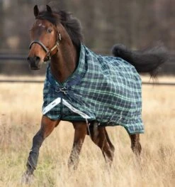 HORSEWARE IRELAND - RHINO WUG 450G -Best Saddle Shop aabw61 h3bh rhino wug lite turnout horse blanket 1