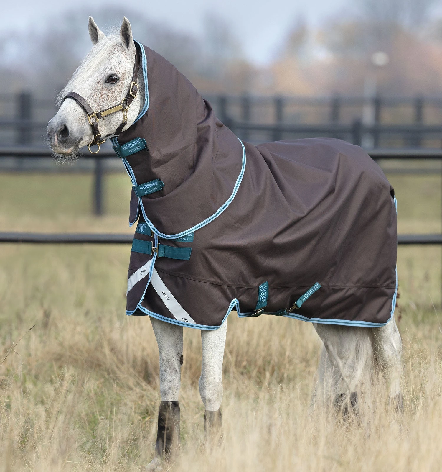HORSEWARE IRELAND - Amigo Bravo 12 Pony Plus Lite