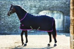 Horseware Ireland Amigo Stable Sheet 11 Horseware Ireland Amigo Stable Sheet -Best Saddle Shop amigo stable rug black purple mint1 1024x1024 c08b16c5 ee18 4d7f 8bcd 9f29f7d4d559