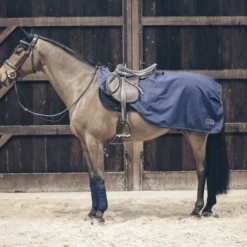 Kentucky Riding Rug All Weather 160g 3 Kentucky Riding Rug All Weather 160g -Best Saddle Shop b a929523bbdd099ba1a676b6771a9e673 article photobook m 6