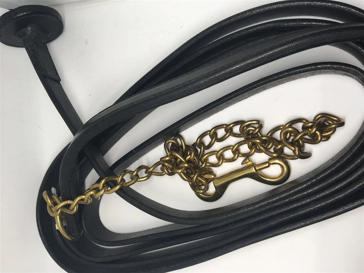 Big M Stallion Lead 1 Big M Stallion Lead