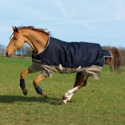 Best Saddle Shop -Best Saddle Shop bl4200 navy tan x700 eded1922 444d 4e32 8be3 4136ffbfe81d