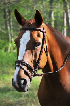 KL Italia Burghley Bridle