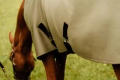 ANATOMEQ - FIT BLANKET -Best Saddle Shop custom resized 1024x1024 2x b787573b 872f 4ce9 8a4f b2966c5a3a2e