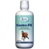 Gastra FX - Omega Alpha