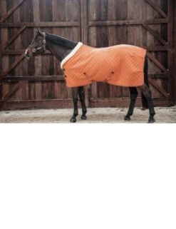 KENTUCKY SHOW RUG 19 KENTUCKY SHOW RUG -Best Saddle Shop image ba7e7287 e152 477b 9820 a961a0a71c17