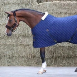 Kentucky Stable Rug 400g