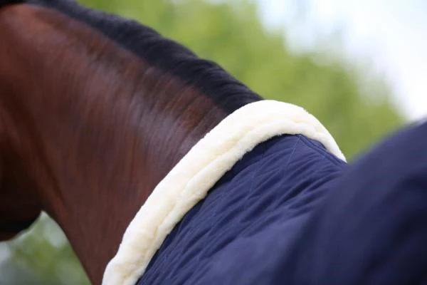 KENTUCKY SHOW RUG 2 KENTUCKY SHOW RUG - Image 2