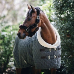 KENTUCKY SHOW RUG 15 KENTUCKY SHOW RUG -Best Saddle Shop kenshowr 7