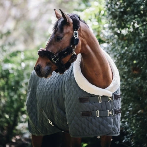 KENTUCKY SHOW RUG 5 KENTUCKY SHOW RUG - Image 5