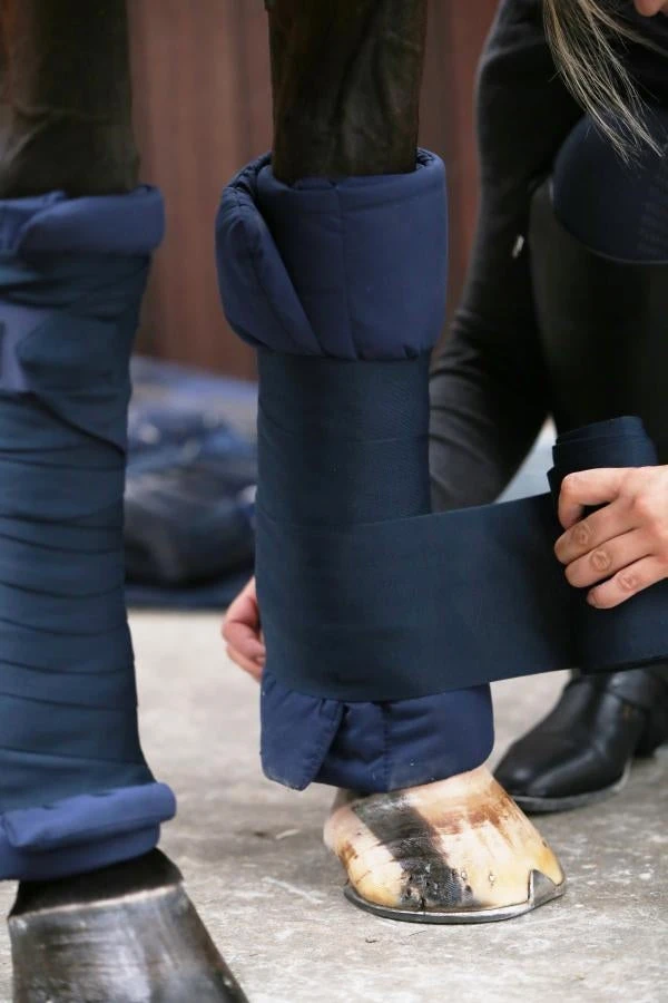 Kentucky Stable Wraps 1 Kentucky Stable Wraps