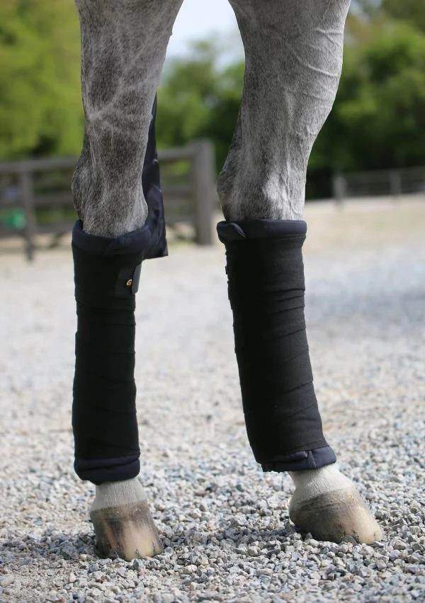 Kentucky Stable Wraps 2 Kentucky Stable Wraps - Image 2