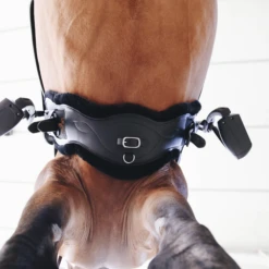 Kentucky Sheepskin Anatomic Short Girth -Best Saddle Shop kentukcyanotomicshort3