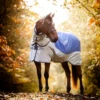Horseware Ireland Rambo Autumn Series